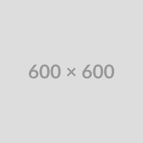 10 Reasons To Start Your Own, Profitable Website!